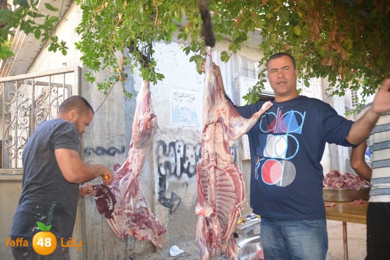 dabe7 lud kharoof 116 (67).JPG